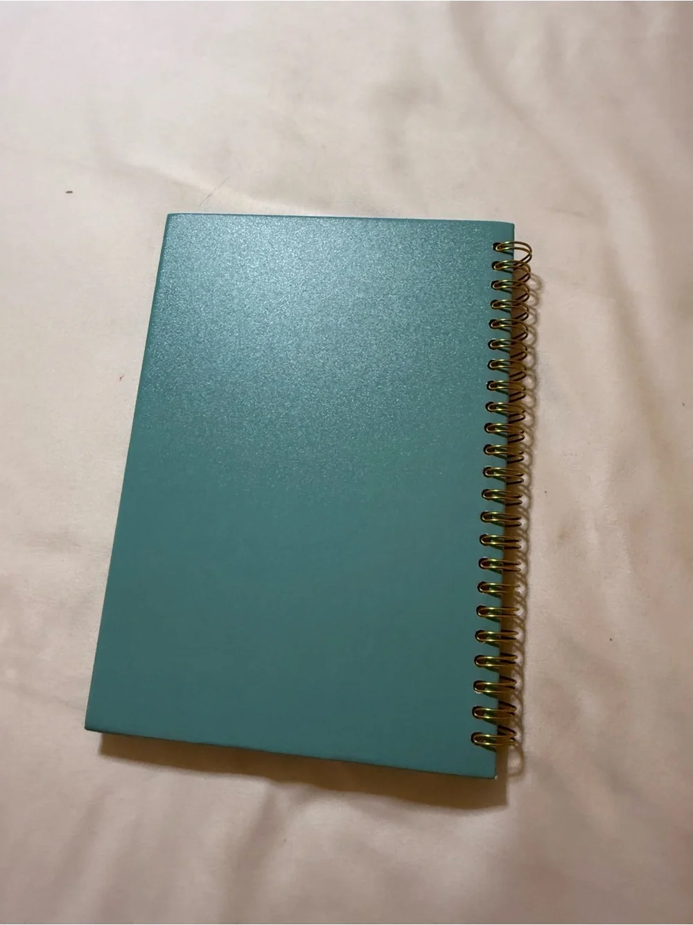 Notebook - 'Things My Students Said' Teal Spiral Journal